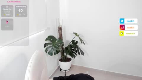 Im Ross   online show from 23, 3, 2026