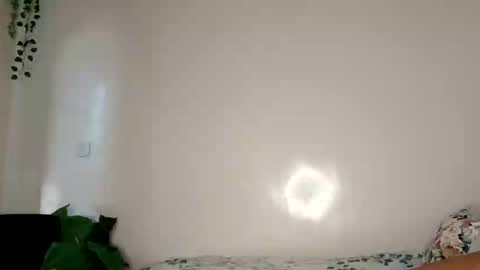 roundbootie online show from 26, 4, 2026