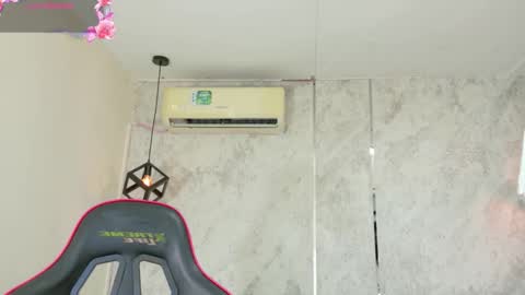 Rous online show from 6, 3, 2026