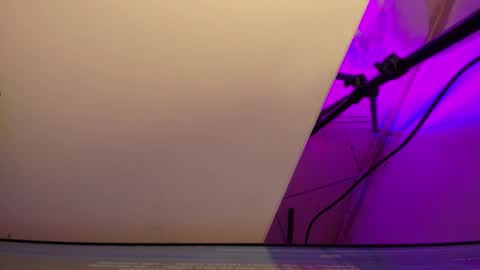 Roxane online show from 3, 3, 2026