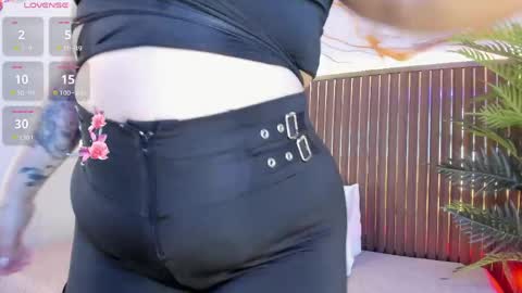 Snapshot of roxie_ns chatting on 6, 6, 2026 Roxie online show from 6, 6, 2026