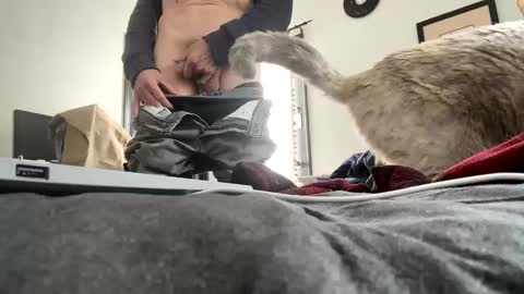 Snapshot of royzboyz2561 chatting on 7, 12, 2024 Roy Murrin online show from 7, 12, 2024