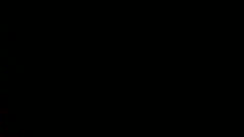 Snapshot of royzboyz2561 chatting on 8, 12, 2024 Roy Murrin online show from 8, 12, 2024