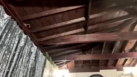 Richhancocc online show from 19, 1, 2026