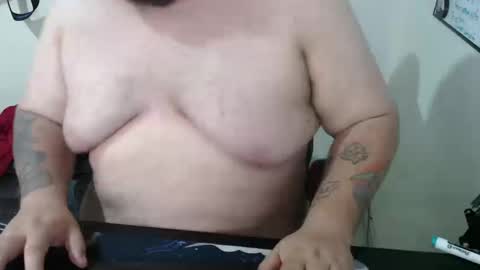 Bear online show from 14, 3, 2026