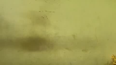 Snapshot of rupali01 chatting on 20, 12, 2025 Rupali online show from 20, 12, 2025