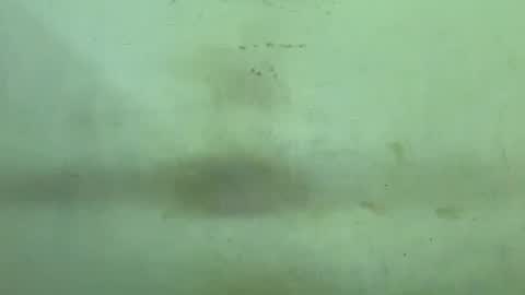 Snapshot of rupali01 chatting on 21, 12, 2025 Rupali online show from 21, 12, 2025