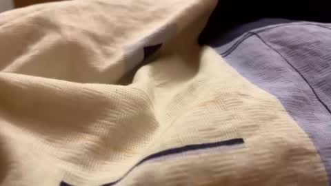 Russh24 online show from 2, 2, 2025