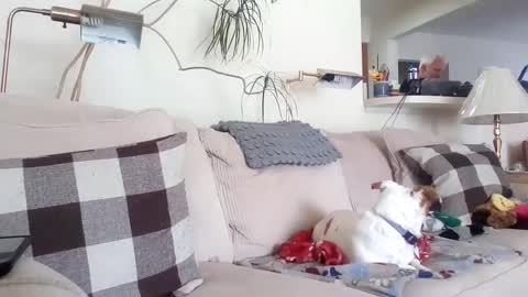 Rusty online show from 8, 3, 2025