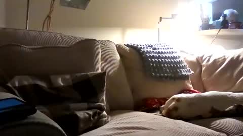 Rusty online show from 2, 10, 2025