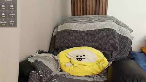 Sr Coast online show from 22, 4, 2026