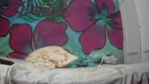 Snapshot of ryan_chocolate_horny chatting on 20, 7, 2026 Javier online show from 20, 7, 2026
