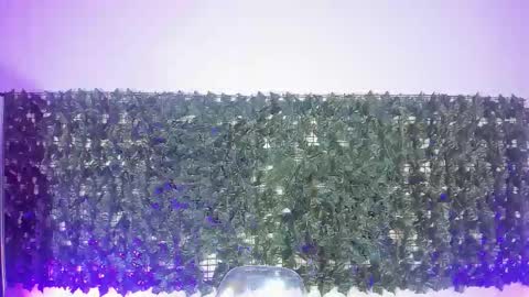 Snapshot of sabinamerchetti_ chatting on 17, 3, 2026 Sabina Merchetti online show from 17, 3, 2026