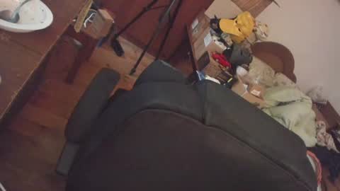 1141323  my Lord Mister Max   moms treasure online show from 6, 8, 2026