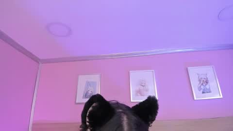 Snapshot of sachi_meow chatting on 15, 2, 2025 Ig online show from 15, 2, 2025