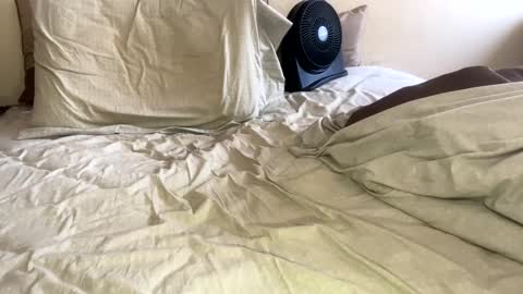 Snapshot of sackskincreamer chatting on 26, 1, 2025 R online show from 26, 1, 2025