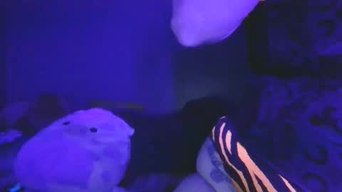 Snapshot of saddybaddie chatting on 13, 3, 2026 saddybaddie online show from 13, 3, 2026