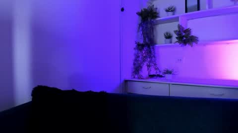Cami online show from 15, 7, 2026