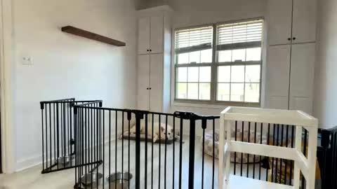 Cum Hanks online show from 13, 3, 2026