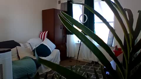 salis1981 online show from 3, 3, 2025