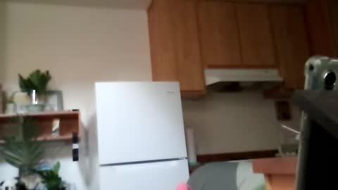 salis1981 online show from 13, 10, 2025