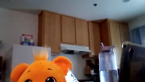 salis1981 online show from 19, 2, 2026