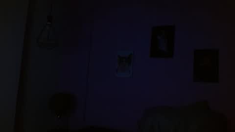 salome ferrari online show from 8, 3, 2026