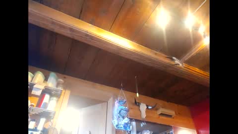 salsapaulus online show from 13, 4, 2026