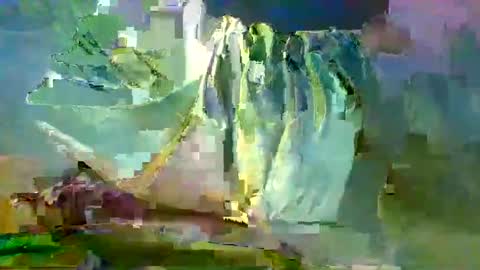 Snapshot of sam223382879 chatting on 27, 12, 2024 sam223382879 online show from 27, 12, 2024