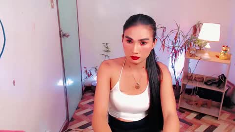 sam online show from 5, 12, 2024