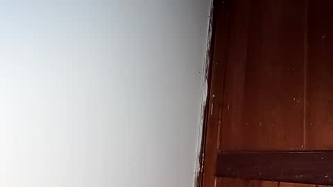 sam online show from 28, 2, 2025