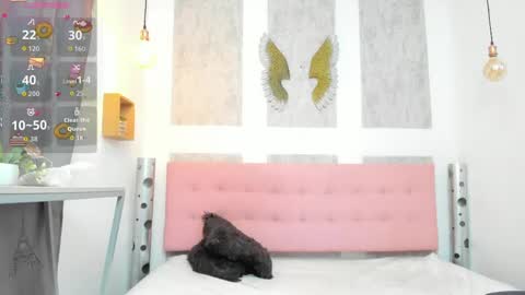    online show from 21, 4, 2026