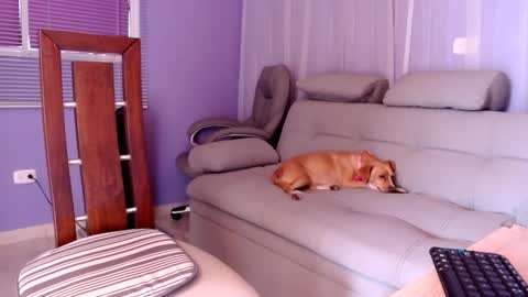 sam online show from 2, 12, 2024