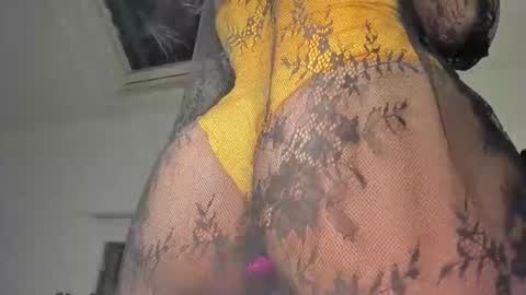 Samar Layali online show from 21, 1, 2025