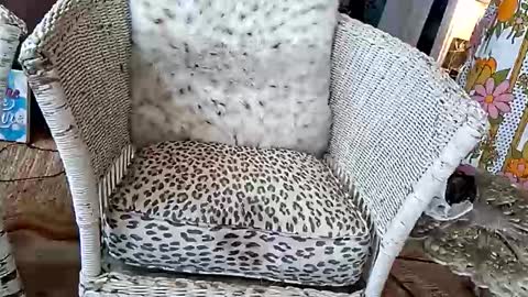 Snapshot of samboiamtho chatting on 3, 4, 2026 samboiamtho online show from 3, 4, 2026