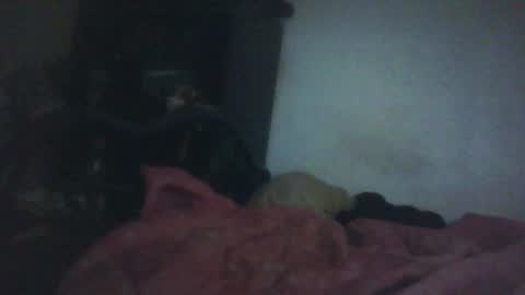 Snapshot of samedisamedi1nouveau chatting on 18, 10, 2025 Samedisamedi1nouveau online show from 18, 10, 2025