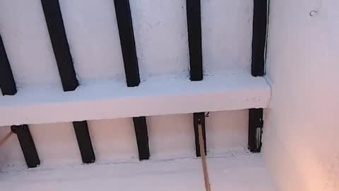 Sammy  online show from 20, 2, 2026