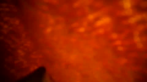 samueltal online show from 11, 9, 2025