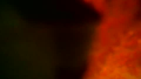 samueltal online show from 14, 10, 2025