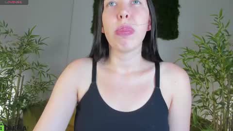 Sandra online show from 29, 7, 2026
