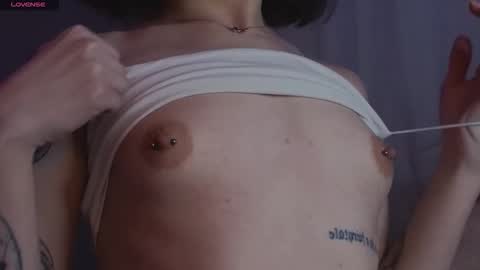 Sandy  online show from 3, 2, 2026