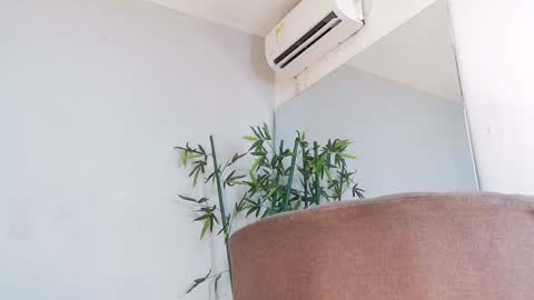 SAM  online show from 25, 4, 2026