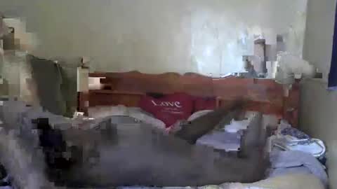 santabarbie online show from 4, 3, 2025