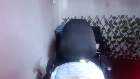 tania online show from 24, 7, 2026