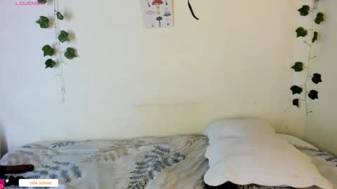 sara sofia online show from 18, 12, 2024