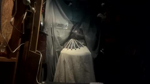 Sarrah Sweet online show from 21, 9, 2025