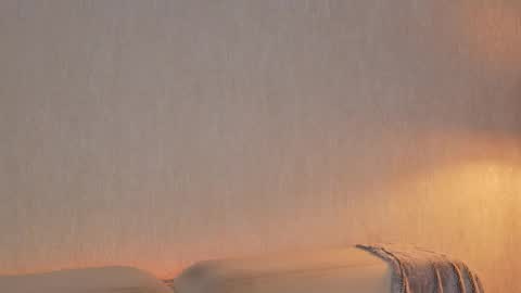       online show from 26, 3, 2026