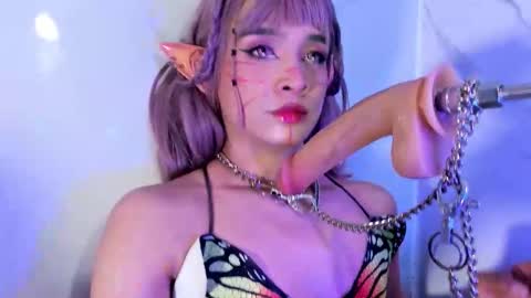    online show from 20, 2, 2026