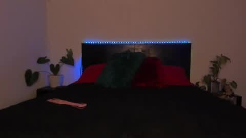 Girl next door online show from 19, 1, 2025