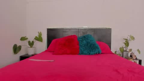 Girl next door online show from 20, 1, 2025